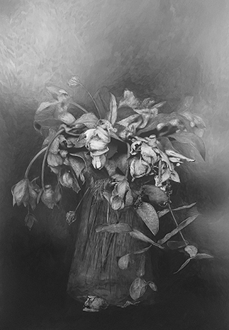 Anne Lise Broyer - Le Langage des fleurs (hommage à Adolphe Braun) - série en cours - 4