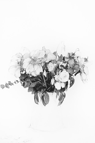 Anne Lise Broyer - Le Langage des fleurs (hommage à Adolphe Braun) - série en cours - 6