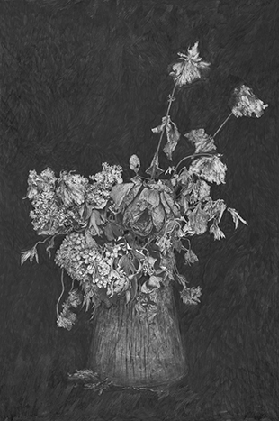 Anne Lise Broyer - Le Langage des fleurs (hommage à Adolphe Braun) - série en cours - 7