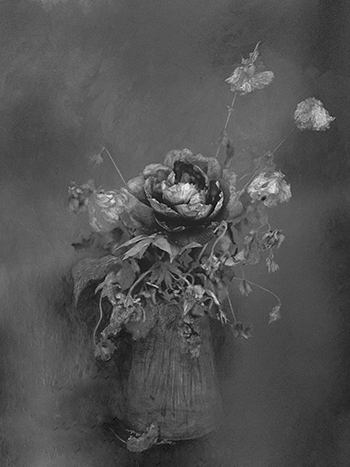 Anne Lise Broyer - Le Langage des fleurs (hommage à Adolphe Braun) - série en cours - 0