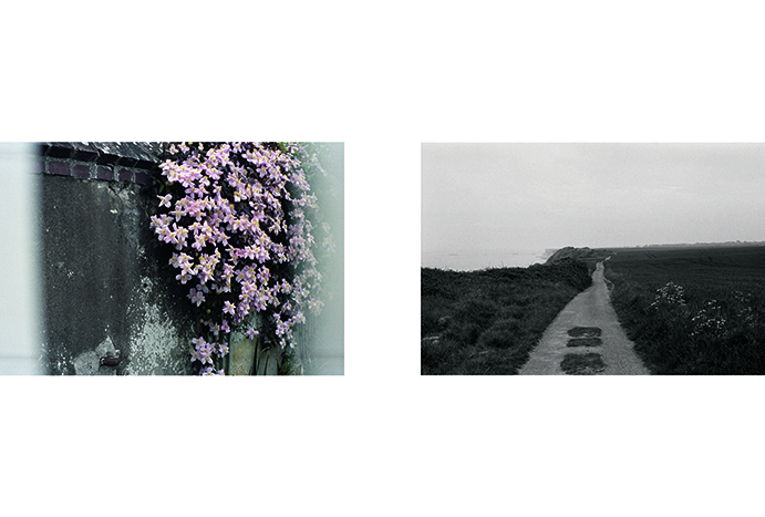 Anne Lise Broyer - Le temps est caché dans les plis d'une fleur - 3